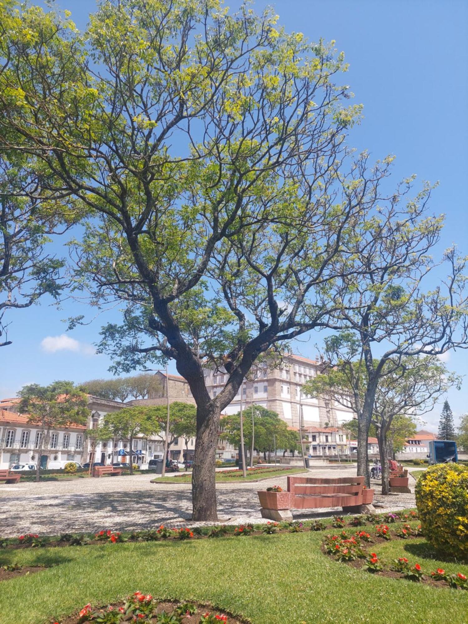 Mostarda Boutique Apartment Vila do Conde Bagian luar foto